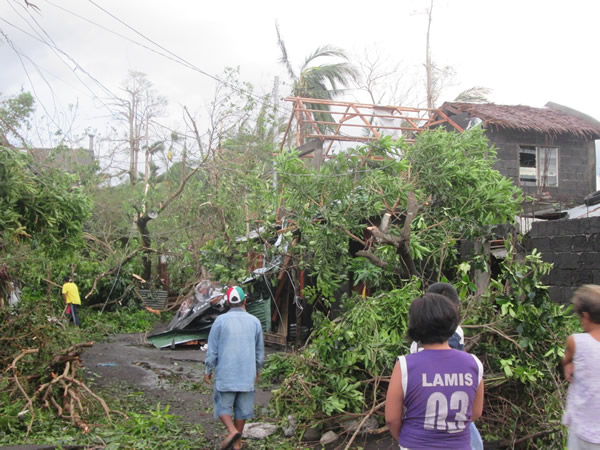 Typhoon damage